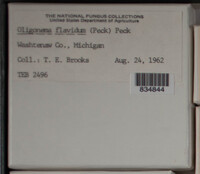 Image Associated With the Occurence